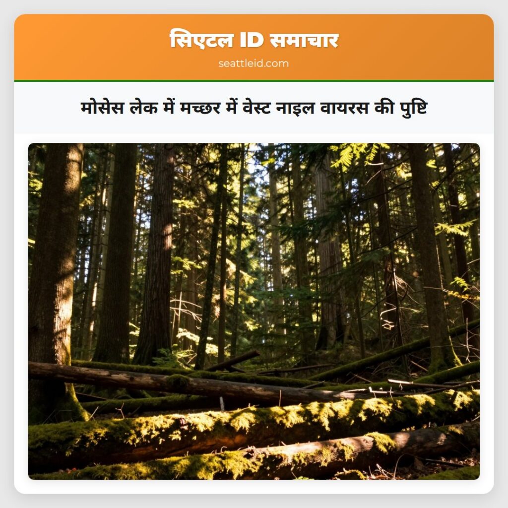 मोसेस लेक में मच्छर में वेस्ट नाइल वायरस की पुष्टि