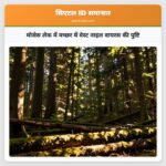 मोसेस लेक में मच्छर में वेस्ट नाइल वायरस की पुष्टि