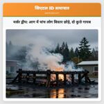 मर्सर द्वीप आग में पांच लोग बिस्तर छोड़े दो कुत्ते गायब