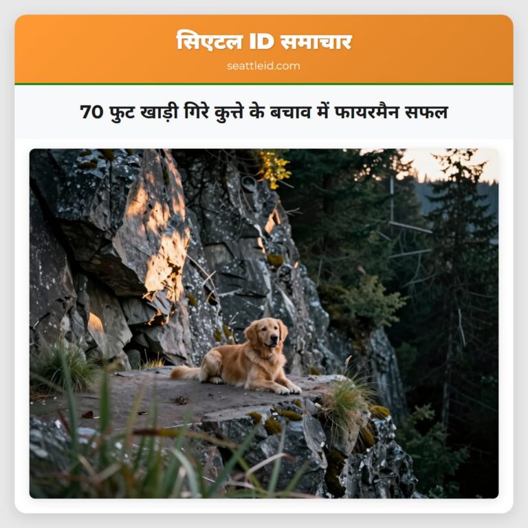 70 फुट खाड़ी गिरे कुत्ते के बचाव में फायरमैन सफल