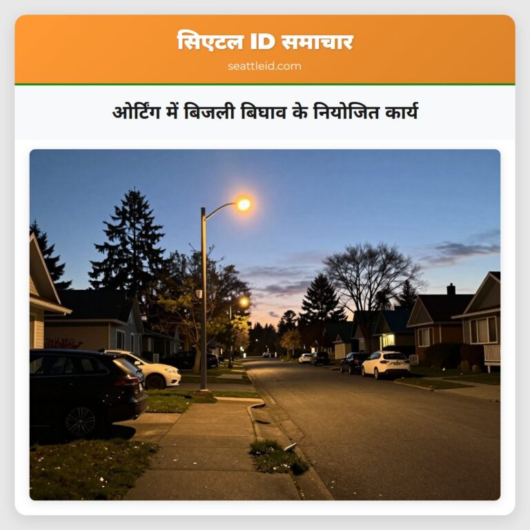 ओर्टिंग में बिजली बिघाव के नियोजित कार्य