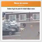 टैकोमा में कुत्ते के हमले में गर्भवती महिला घायल