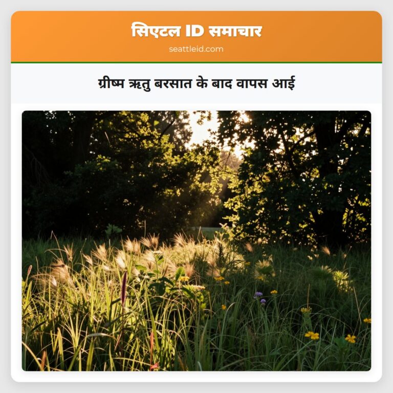 ग्रीष्म ऋतु बरसात के बाद वापस आई